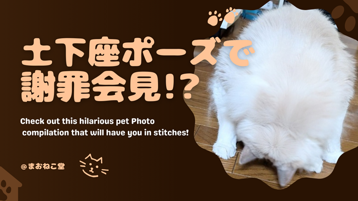 2024.12.15アイキャッチ