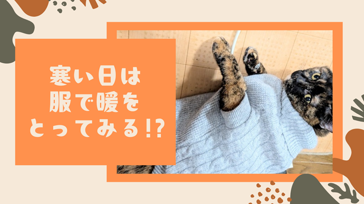 2025.12.28アイキャッチ