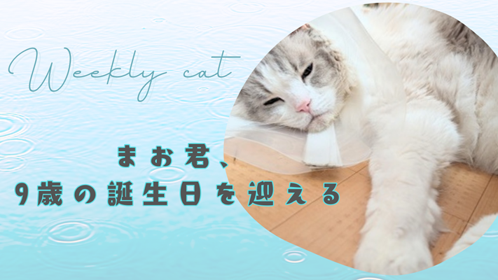 2026.01.11アイキャッチ