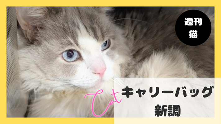 #207　アイキャッチ