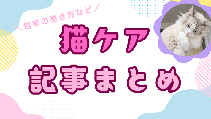 猫ケアアイキャッチ