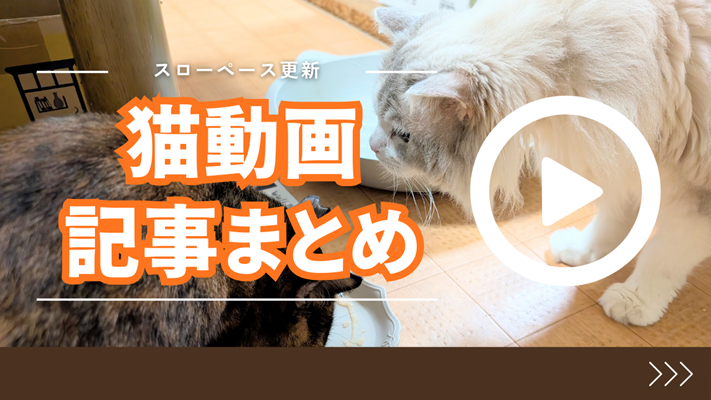 「猫動画作成のまとめ」と書かれた画像