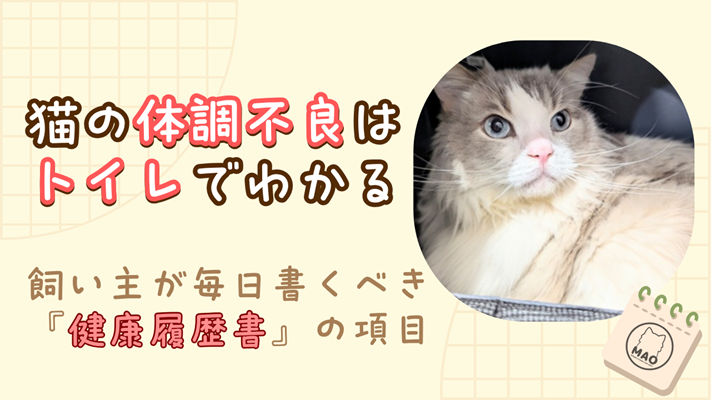 ラグドールの写真に、「猫の体調不良はトイレでわかる　飼い主が毎日書くべき健康履歴書の項目」と書かれたアイキャッチ画像