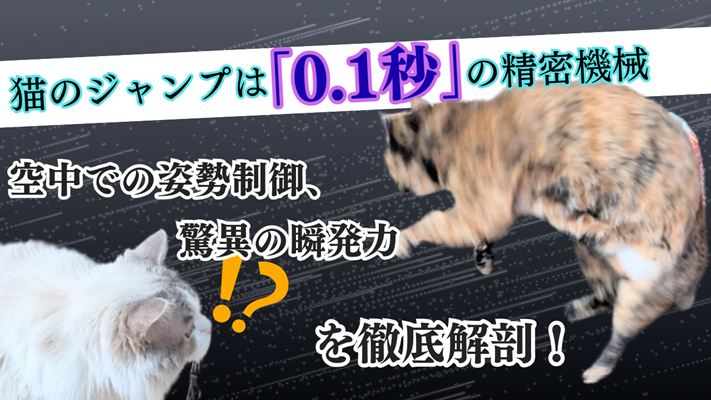 ラグドールとサビ猫の写真に、「猫のジャンプは0.1秒の精密機械　空中での姿勢制御、驚異の瞬発力を徹底解剖」と書かれたアイキャッチ画像