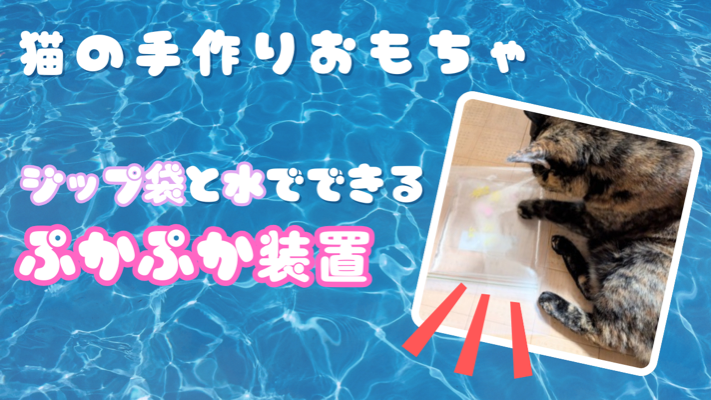 サビ猫の写真を使用した画像に「猫の手作りおもちゃ　ジップ袋と水でできるプカプカ装置」と書かれたアイキャッチ画像