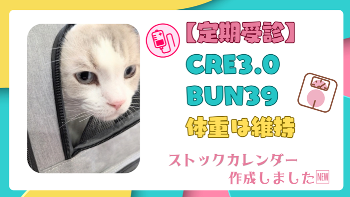 ラグドールの写真を使用した画像に「【定期受診】CRE3.0・BUN39・体重は維持｜ストックカレンダー作りました」と書かれたアイキャッチ画像
